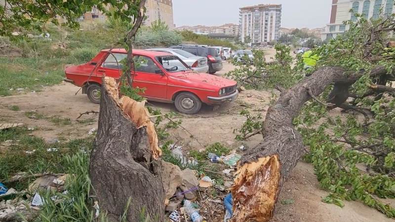 Kavga ettiği amcasını sokak ortasında tabancayla vurdu