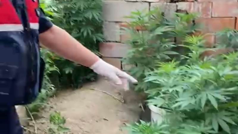 Kavga ettiği amcasını sokak ortasında tabancayla vurdu