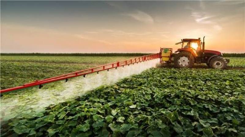 Kavga ettiği amcasını sokak ortasında tabancayla vurdu